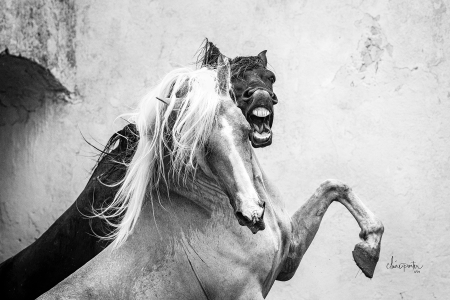 Bonnie and Clyde by artist Claire Porter